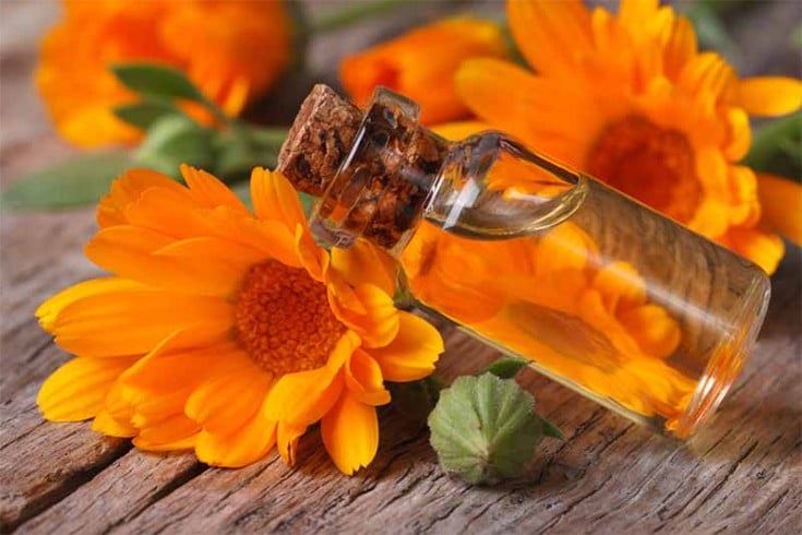 Calendula Oil to Heal Armpit Rash