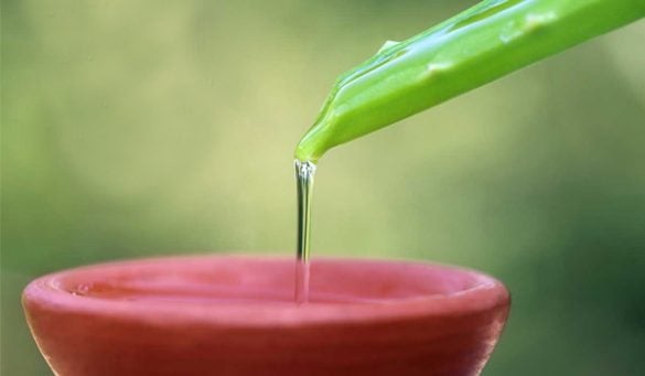 Benefits Of Aloe Vera for women