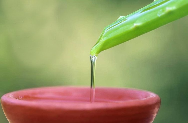 Benefits Of Aloe Vera