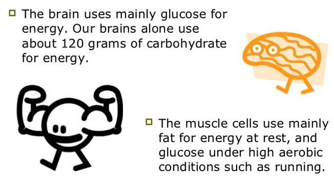 Carbohydrate as fuel