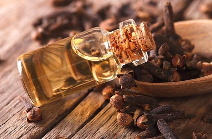 Clove Oil