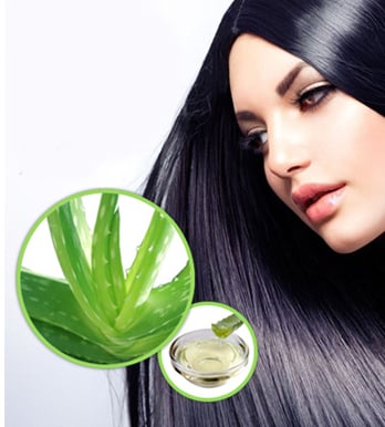 Conditions Hair with aloe vera