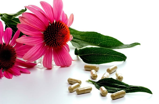 Echinacea