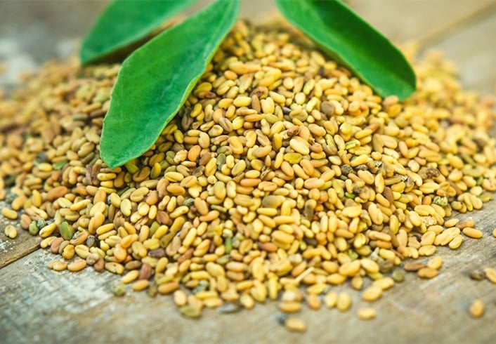 Fenugreek seeds