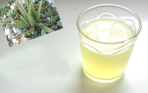 How To Make Aloe Vera Juice