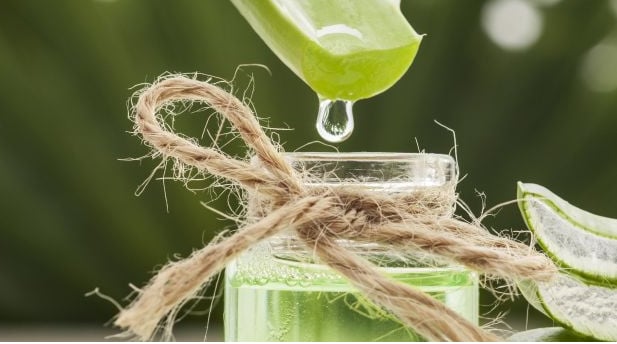 How To Take Aloe Vera Juice  