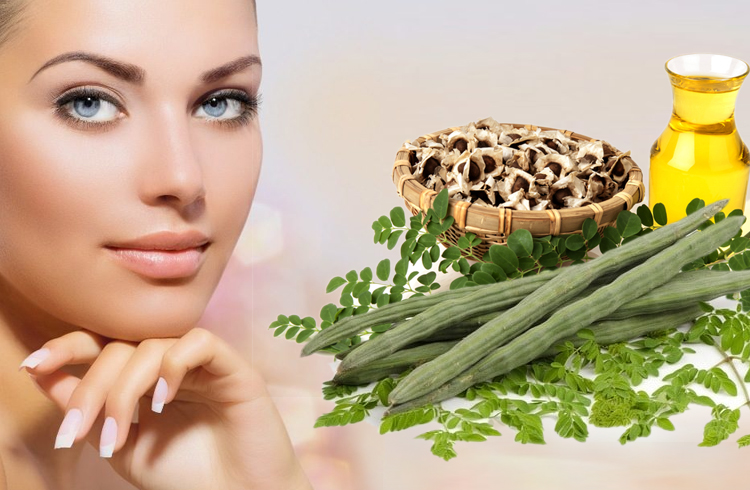 10 Best Moringa oil Benefits