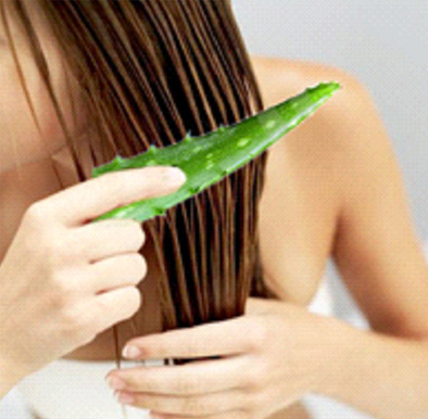 Reduces Dandruff with aloe vera