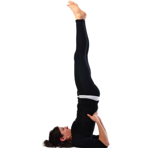 Sarvangasana