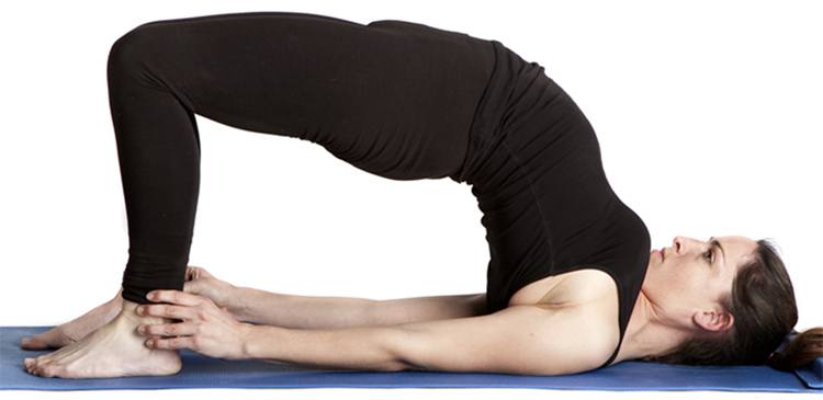 Setubandhasana