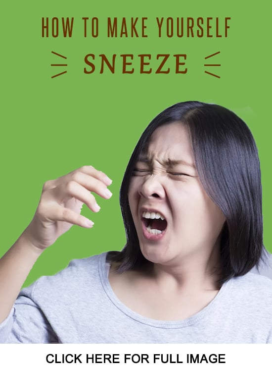 Sneeze Yourself