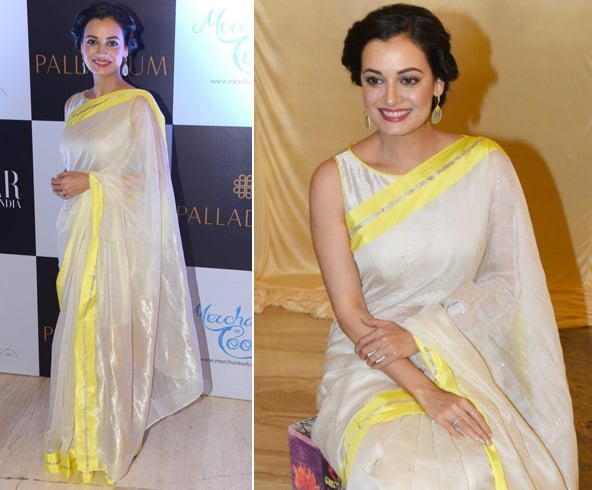 Dia Mirza Saree