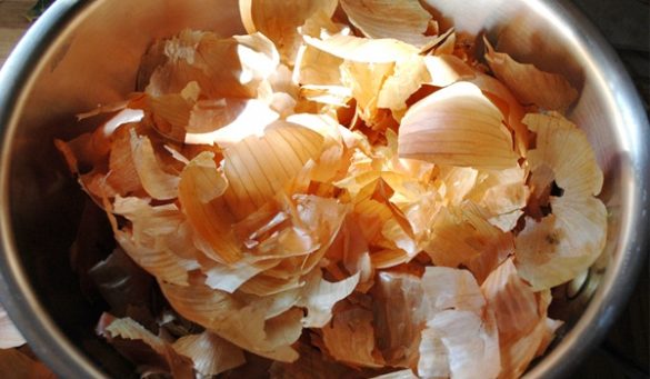 Onion Skin