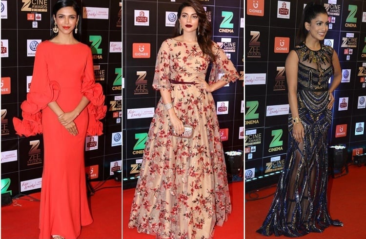 Ccelebrites at Zee Cine Awards 2017