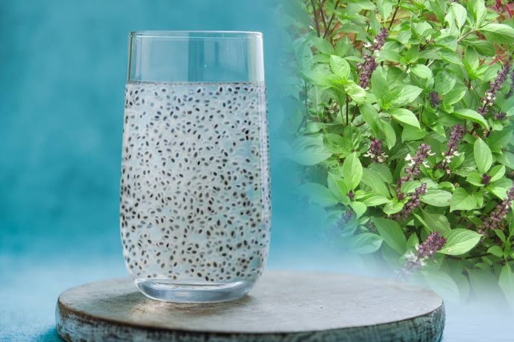 Hidden Basil Seeds Benefits