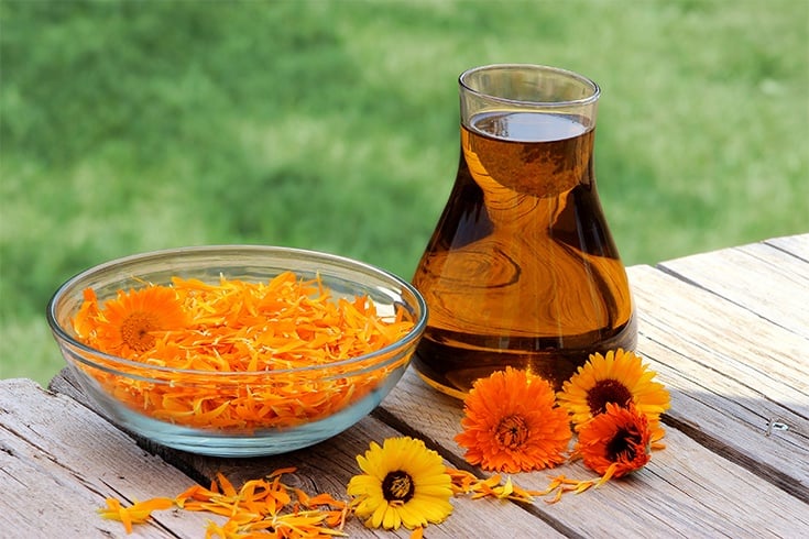 Calendula Oil for Red Dots On Skin