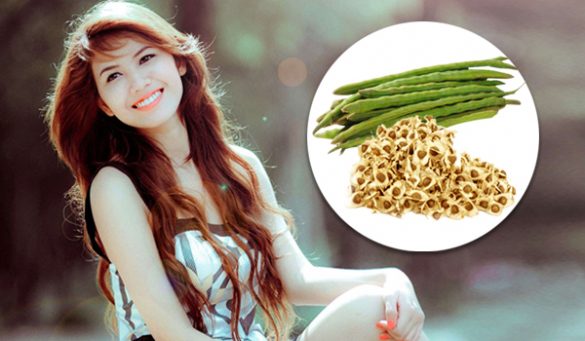 Moringa Seeds For Health