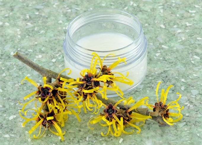 Witch Hazel for Razor Bumps