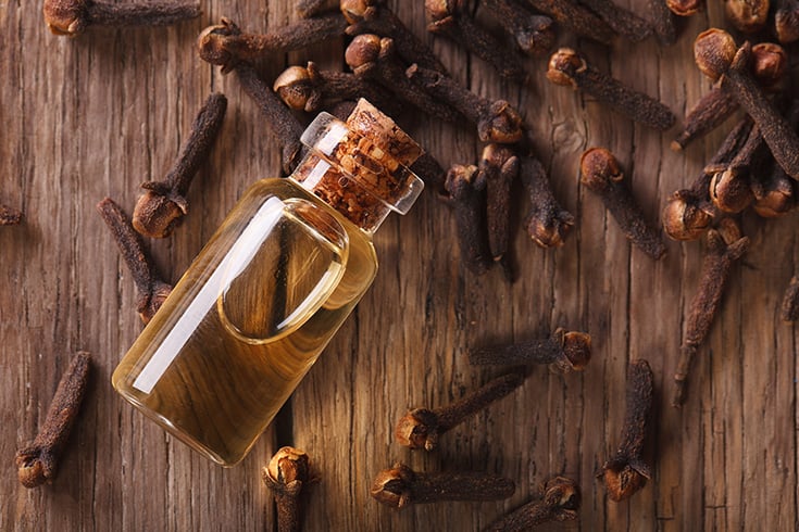 Clove Oil for Bleeding Gums