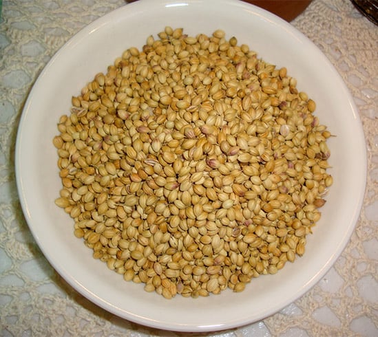 Coriander for Irregular Periods