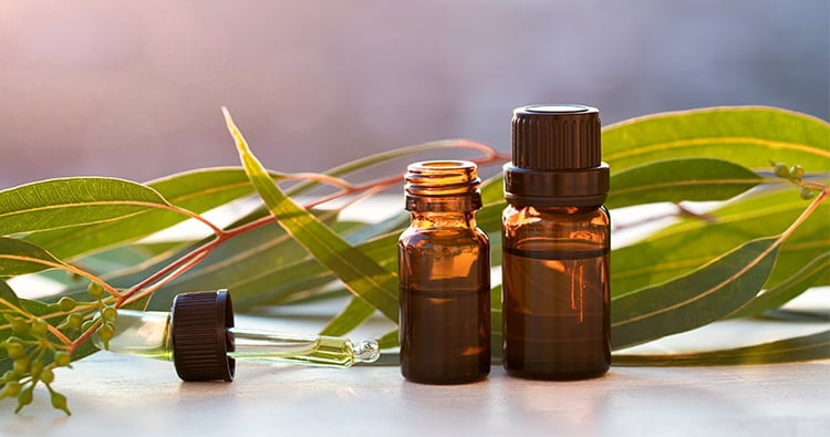 Eucalyptus Oil