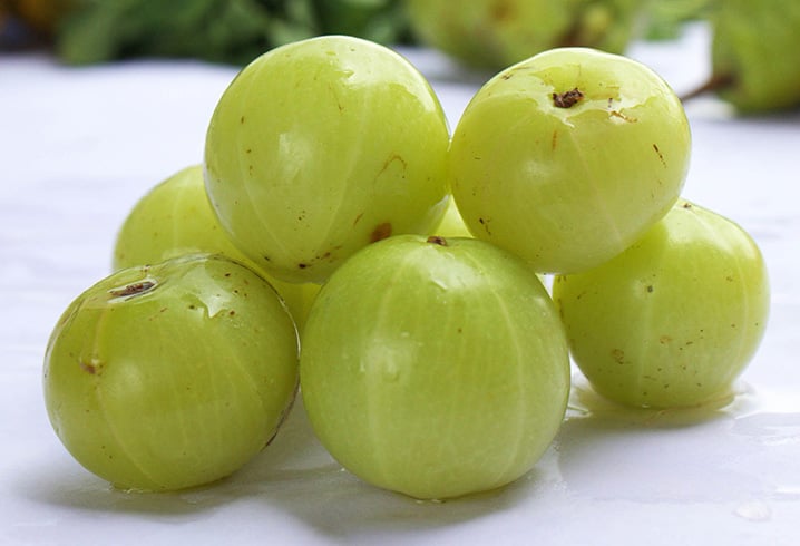 Indian Gooseberry