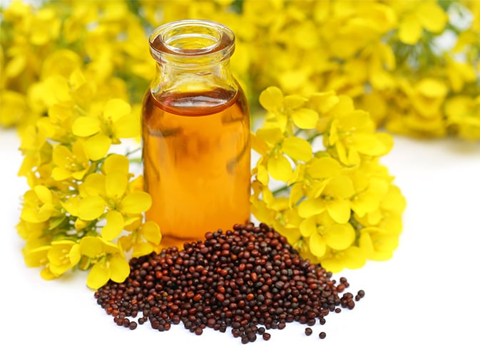 Mustard Oil For Hair