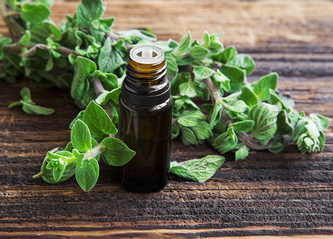 Oregano Oil for Toothache