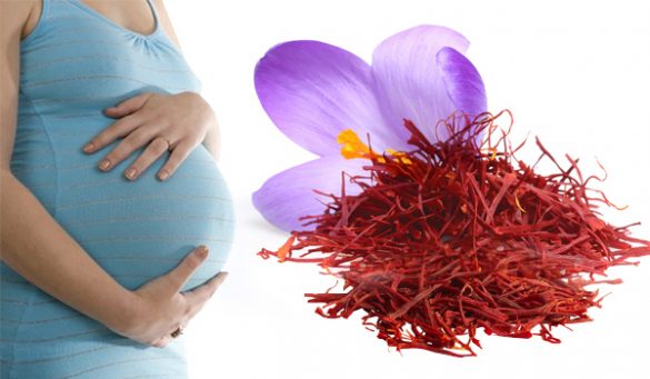 Saffron during pregnancy benefits