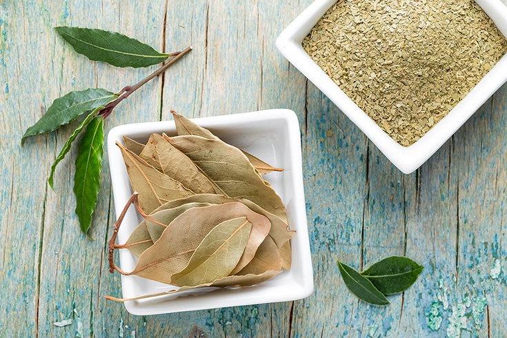 Bay Leaf for Get Rid of Mucus and Phlegm