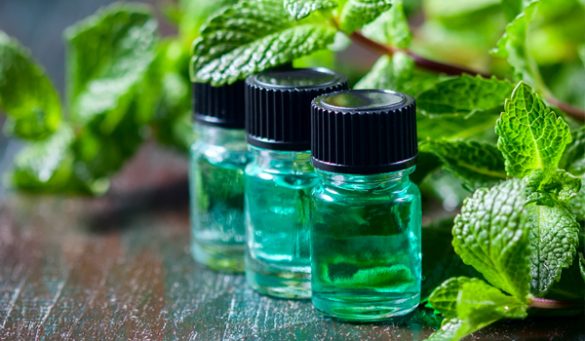 Peppermint Oil