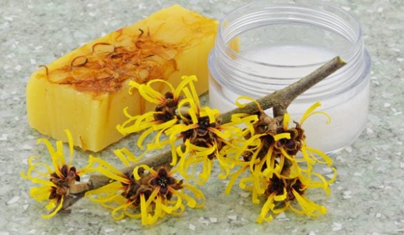 Benefits of Witch Hazel