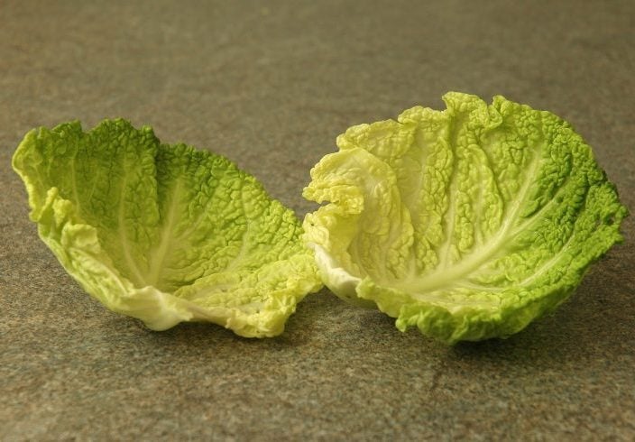 Cabbage Leaves