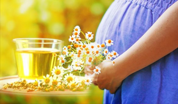 Chamomile Tea During Pregnancy