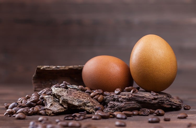 Egg and Coffee Mask