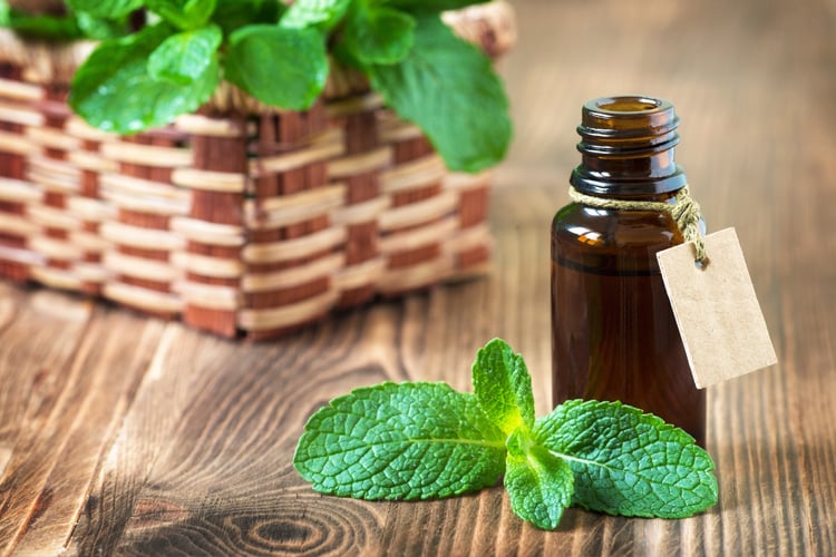 Peppermint Oil for Earache