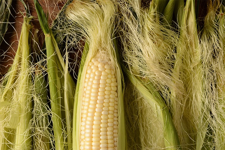 Benefits of Corn Silk