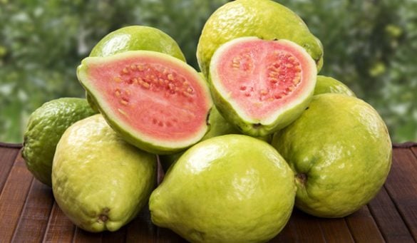 Benefits of Guava Health