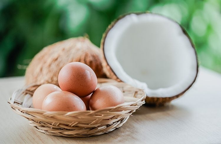 Coconut Oil and Egg Hair Mask