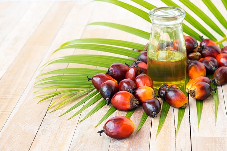 Palm Oil