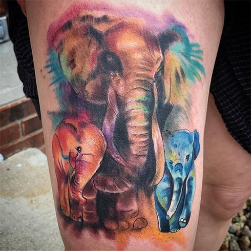 Watercolor animal tattoos a Tribe