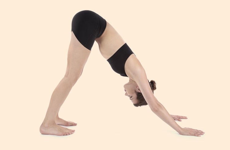 Adho Mukha Svanasana