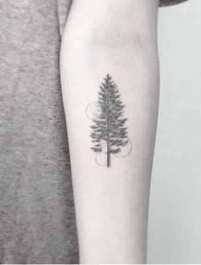 Pine Your Way Through Life