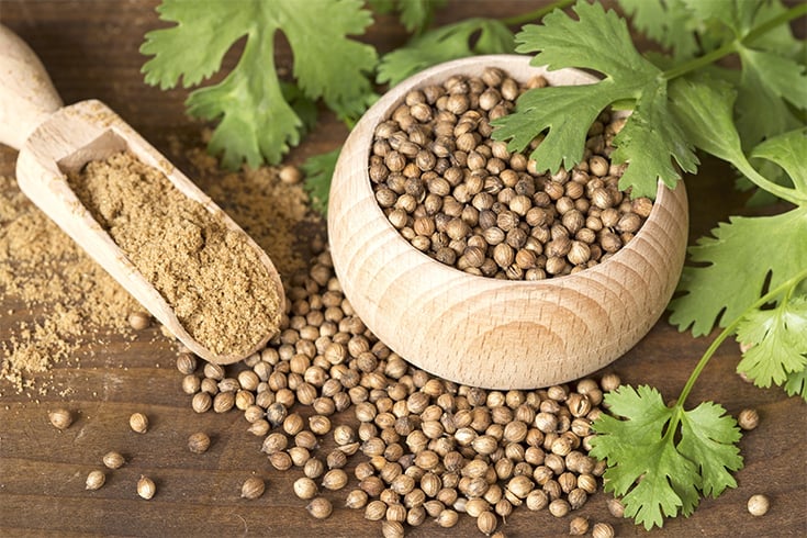 Coriander Seeds