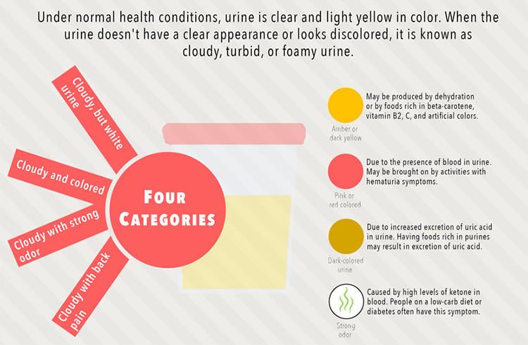 bubbles in urine on low carb diet