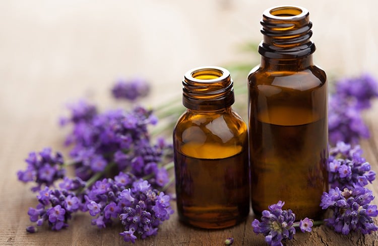 Lavender Oil