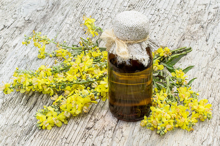 Mullein Oil for Earache