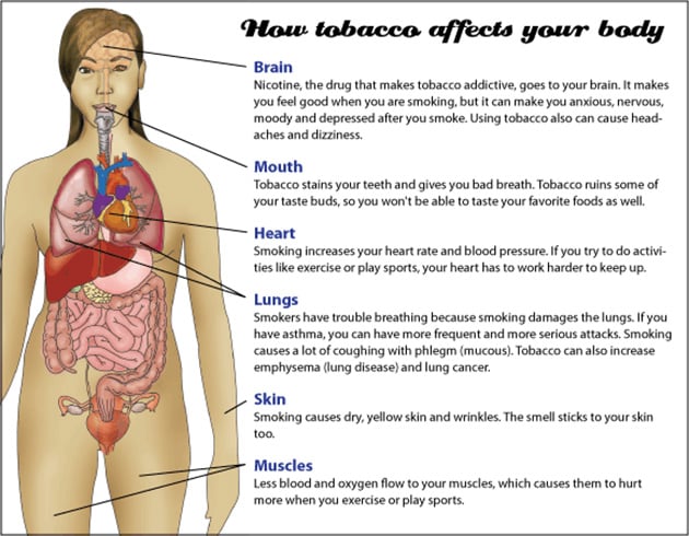 What Does Nicotine Do