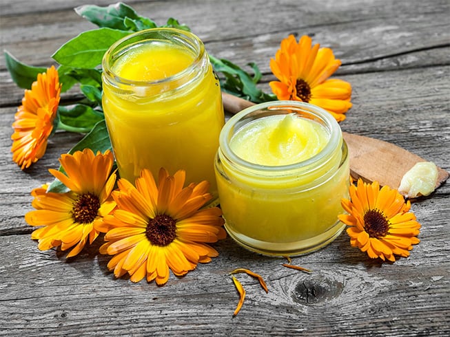 Calendula for Head Heavy