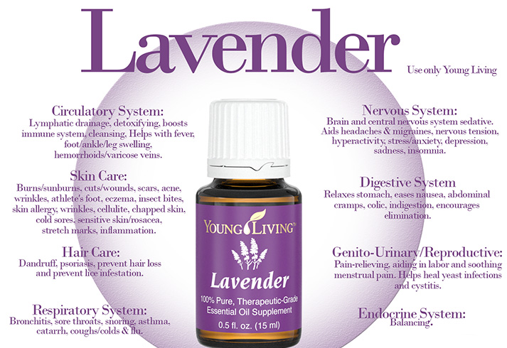 Benefits of Lavender Oil for Health